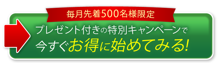 詳しい商品情報を見る